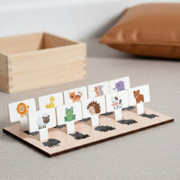 60 Pieces Cognitive Pairing Box Attention Training Color Shape Sorting Box