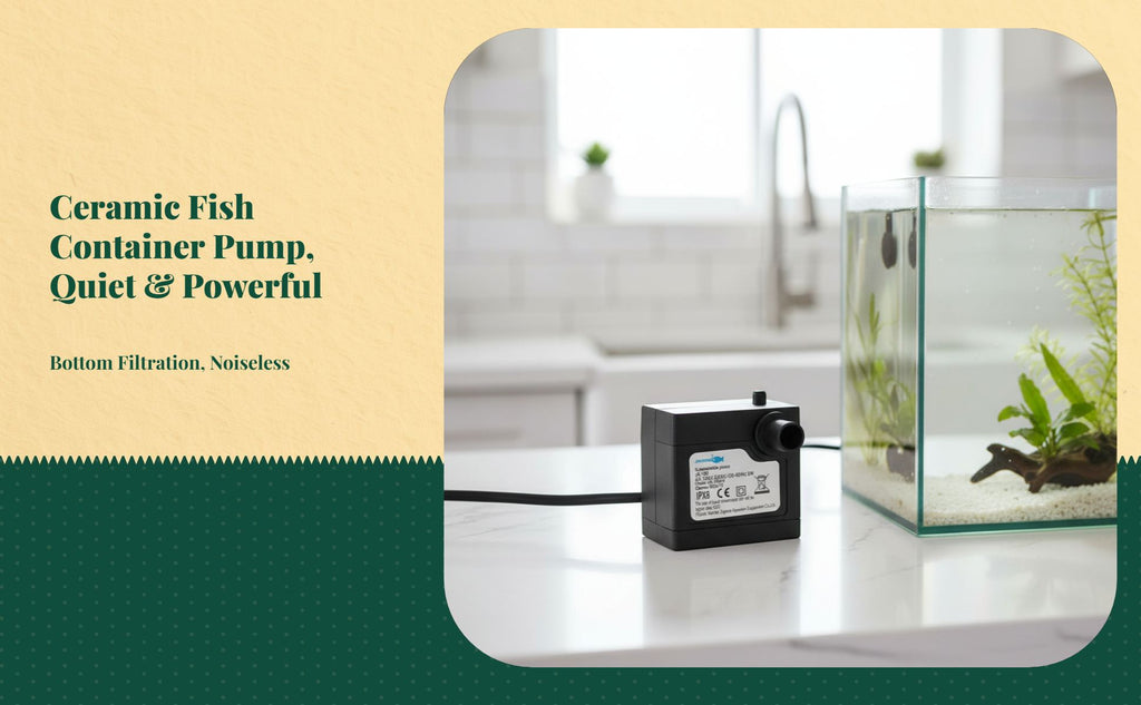 Ceramic filter desktop water circulator