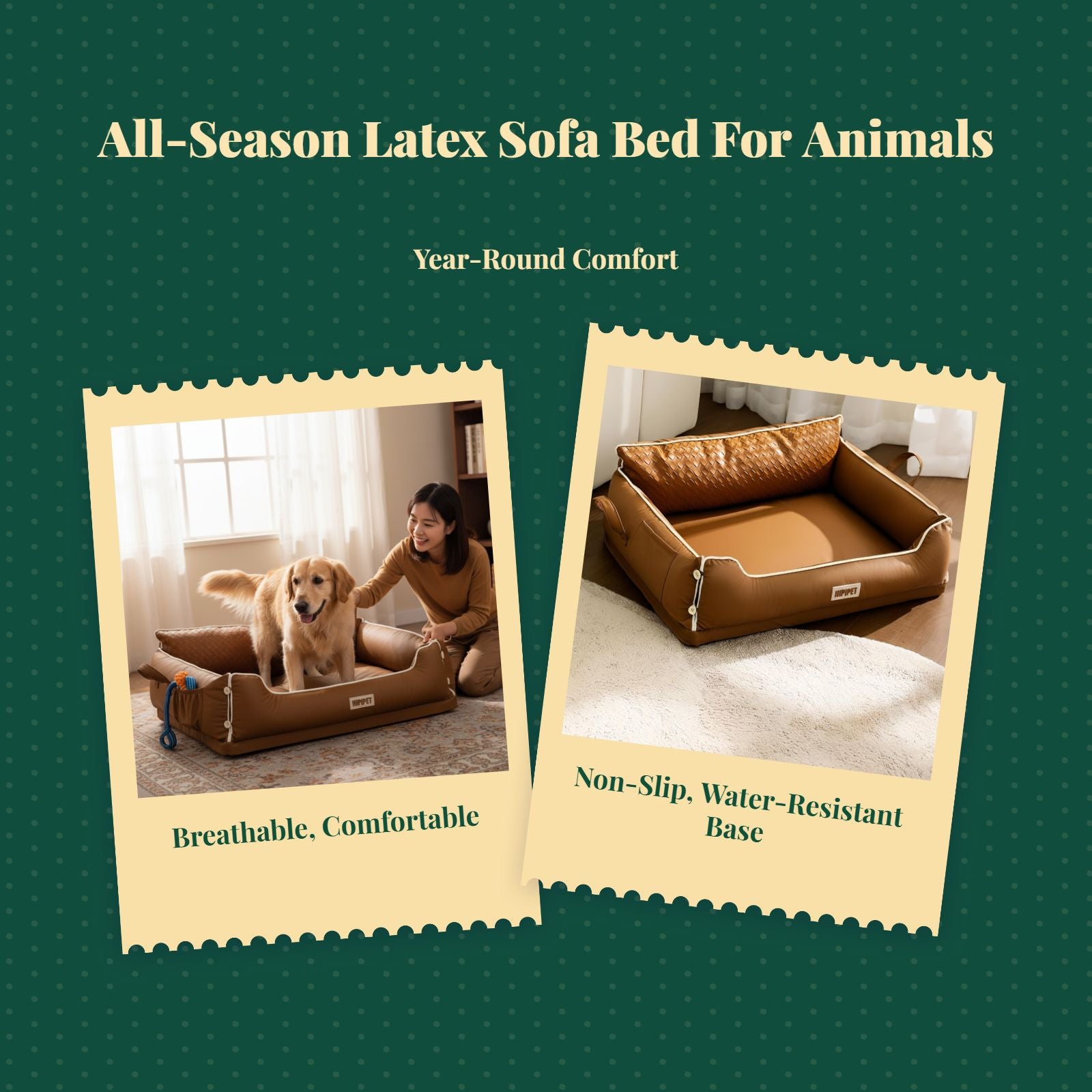Orthopedic latex dog bed, removable cover