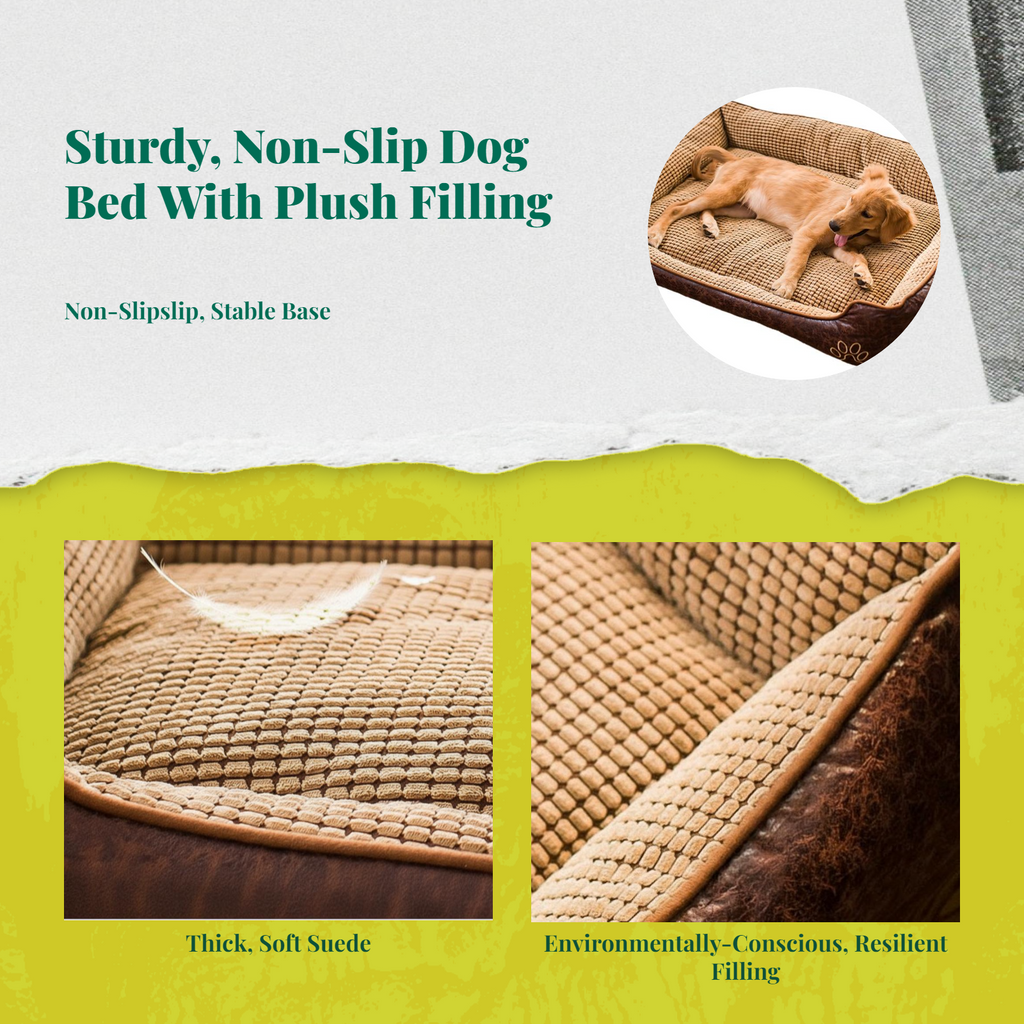 Orthopedic dog bed, removable cover