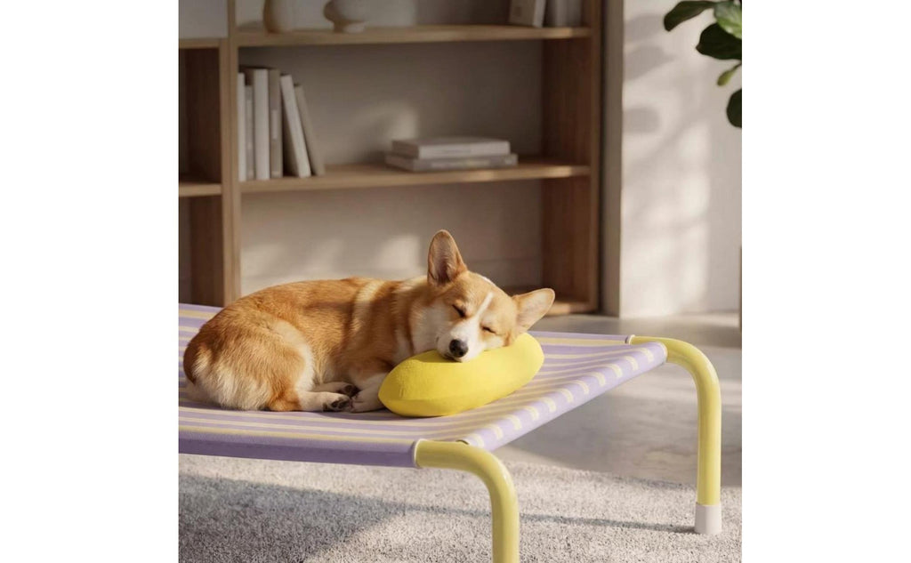 Removable Washable Elevated Dog Bed Easy to Clean Portable Pet Cot Bed Breathable Strong Load Bearing for Indoor