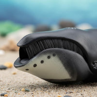 Realistic Bowhead Marine Mammal Model Educational Bowhead Marine Mammal Figurine Collectible Animal Figure for Classroom