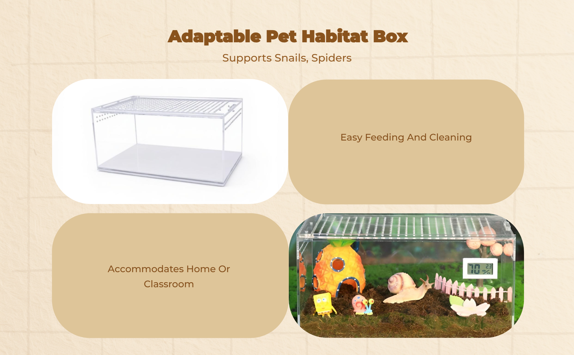 Transparent Acrylic Arachnid Habitat Breeding Box