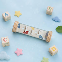 Rainstick Maze Hand-Eye Coordination Balance Bead Tube Sensory Play