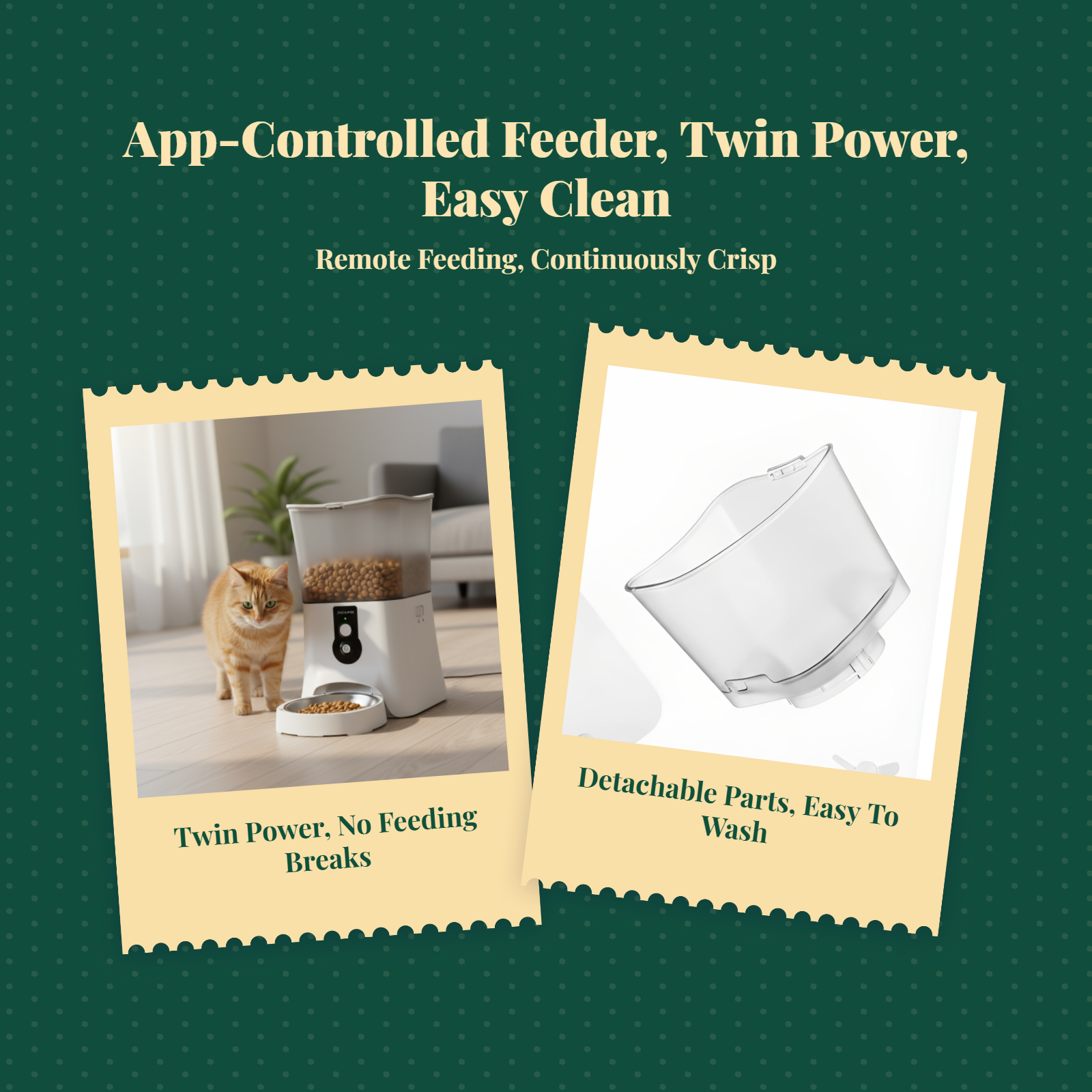 App-Controlled Cat Feeder