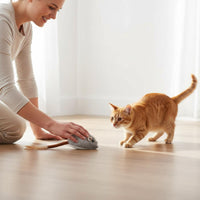 Rechargeable Feline Toy Automatic Moving Interactive Feline for Indoor
