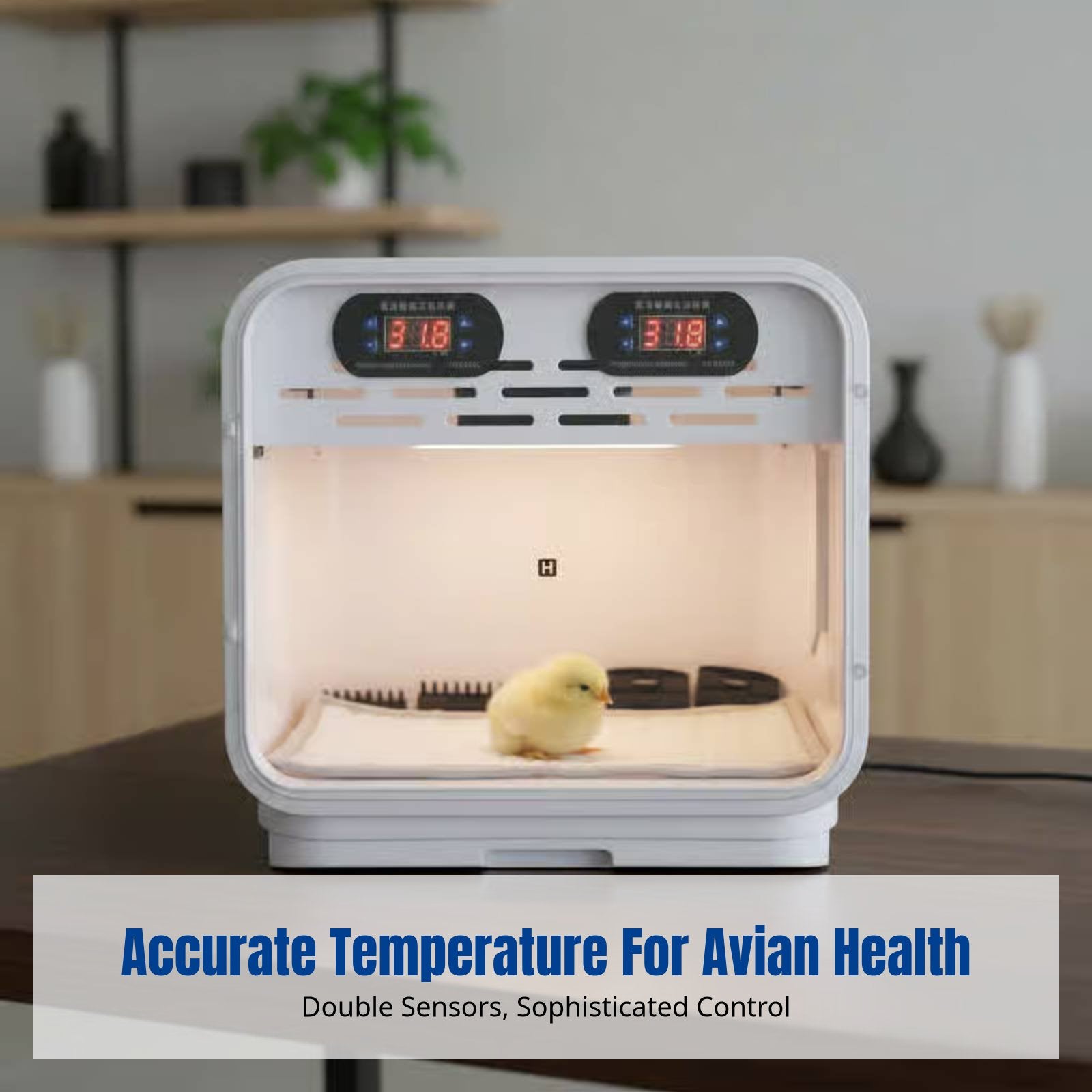 Pet Parrot Incubator, Smart Warm Air Brooder, Automatic Air Exchange, For Young Birds