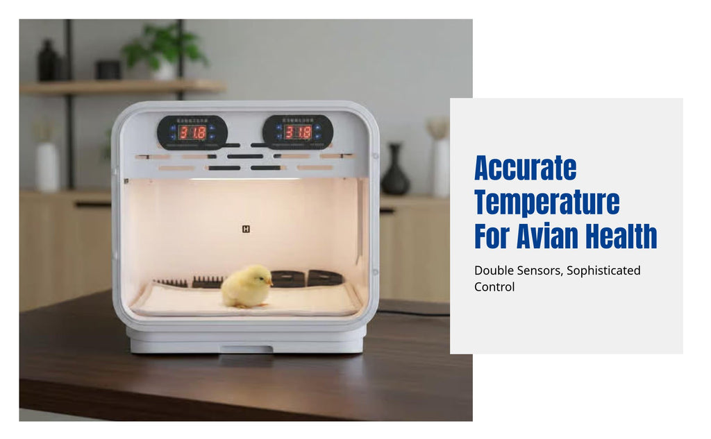 Pet Parrot Incubator, Smart Warm Air Brooder, Automatic Air Exchange, For Young Birds