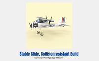 Fixed Wing RC Glider RC Glider Plane Stable Aviation Fixed-Wing Foam Airplane for Beginners, Outdoor